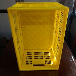 سبد تاشو